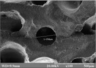 Мікроструктура остеопластичного матеріалу Cerabone®. Пори біоматеріалу, одна з яких розміром 250 мкм. Електронна сканограма. Зб. 100.