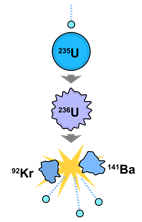 Схематичне зображення поділу ядра U при поглинанні нейтрона.