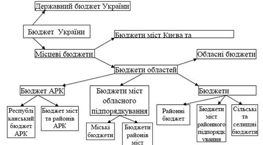 Структура бюджетної системи України.