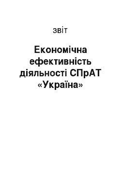 Отчёт: Економічна ефективність діяльності СПрАТ «Україна»