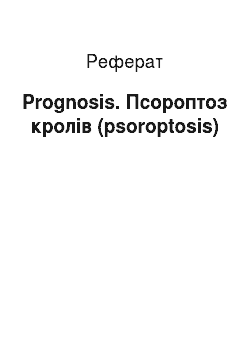 Реферат: Prognosis. Псороптоз кролів (psoroptosis)