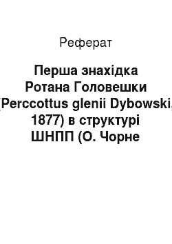 Реферат: Перша знахідка Ротана Головешки (Perccottus glenii Dybowski, 1877) в структурі ШНПП (О. Чорне Велике) та можливі наслідки його вселення