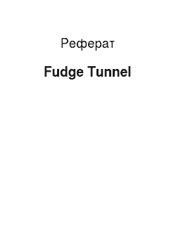 Реферат: Fudge Tunnel