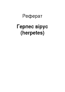 Реферат: Герпес вірус (herpetes)