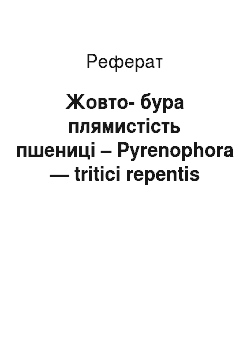 Реферат: Жовто-бура плямистість пшениці – Pyrenophora — tritici repentis