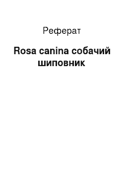 Реферат: Rosa canina собачий шиповник