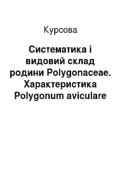Курсовая: Систематика і видовий склад родини Polygonaceae. Характеристика Polygonum aviculare