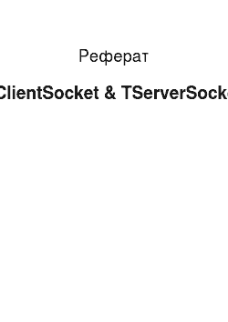 Реферат: TClientSocket & TServerSocket