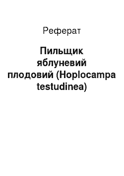 Реферат: Пильщик яблуневий плодовий (Hоplocampa testudinea)