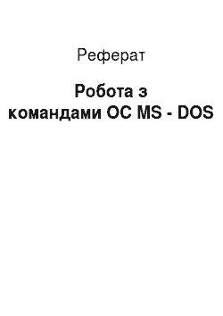 Реферат: Работа з командами ОС MS — DOS