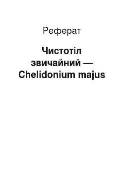 Реферат: Чистотіл звичайний — Chelidonium majus