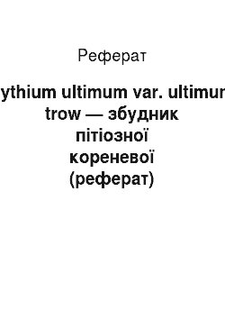 Реферат: Pythium ultimum var. ultimum trow — збудник пітіозної кореневої (реферат)