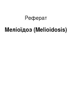 Реферат: Меліоїдоз (Melioidosis)