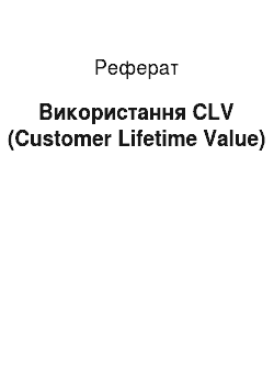 Реферат: Использование CLV (Customer Lifetime Value)