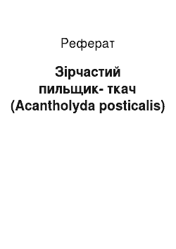Реферат: Зірчастий пильщик-ткач (Acantholyda posticalis)