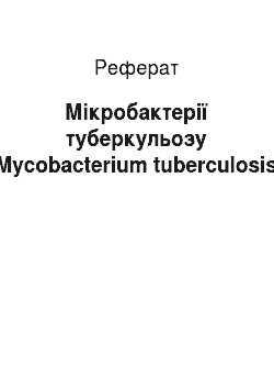 Реферат: Мікробактерії туберкульозу (Mycobacterium tuberculosis)