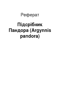 Реферат: Підсрібник Пандора (Argynnis pandora)