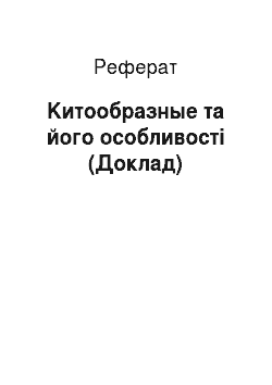 Реферат: Kитообразные та його особливості (Доклад)